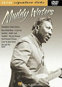 Muddy Waters Guitar Signature Licks