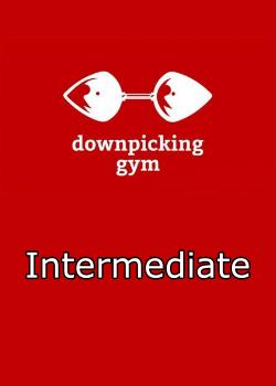Riffhard - Downpicking Gym Intermediate