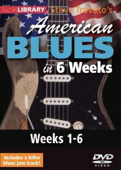 Steve Trovato - American Blues in 6 Weeks
